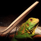 Bamboo Feeding Tweezers for Reptiles — Long-Reach Safe Handling Tool