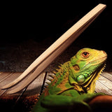Bamboo Feeding Tweezers for Reptiles — Long-Reach Safe Handling Tool