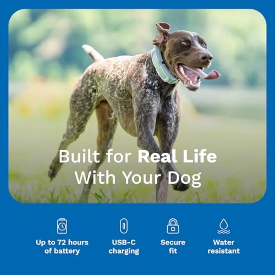 Waterproof GPS Dog Fence Tracking Collar for Medium & Large Dogs