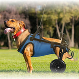 Dog Wheelchair Disabled Cat Dog Rehabilitation Walking Aid Pushchair Power Assisted Vehicle Cat Mobility Scooter Pet Supplies