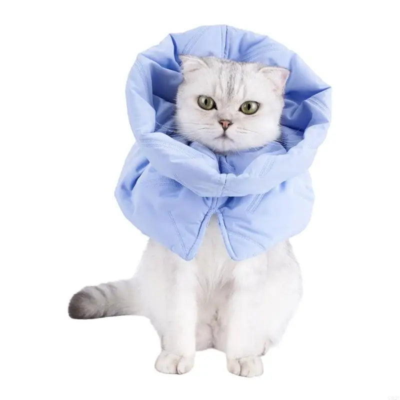 Soft Cat Recovery Collar — Adjustable Anti-Lick Neck Protector