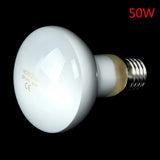 UVA Daylight Heating Bulb for Reptiles — Waterproof, 25W-100W