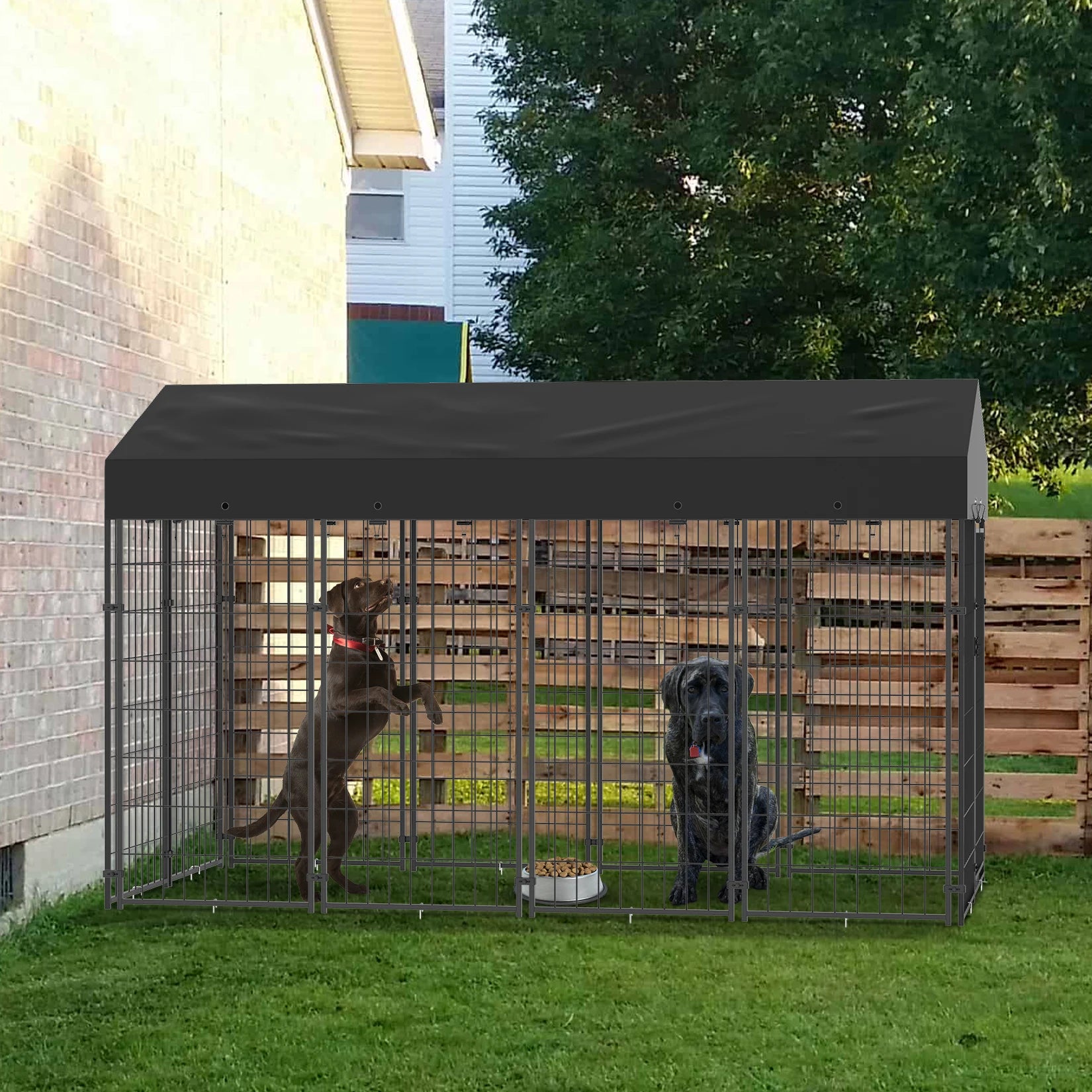 Outdoor Dog Kennel Run with Canopy Cover & Ground Stakes