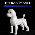 Bichon Grooming Practice Model with Wig