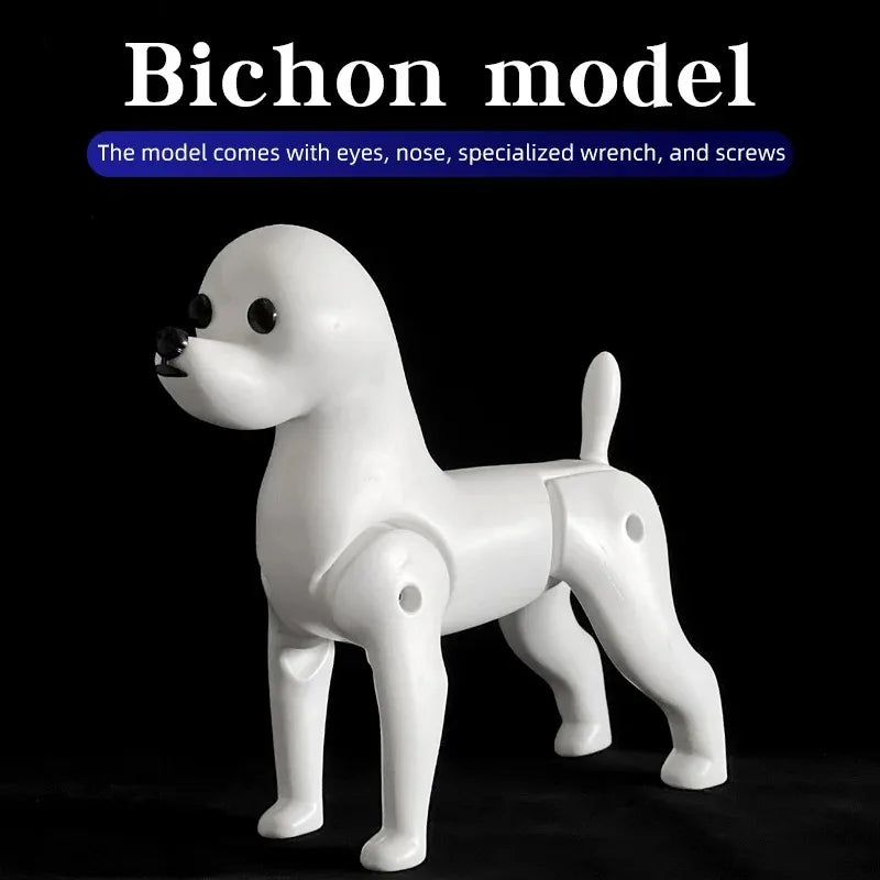 Bichon Grooming Practice Model with Wig