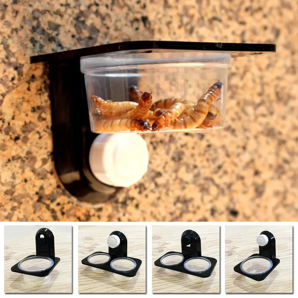 Wall-Mount Reptile Feeding Box — Single/Double Food & Water Dish for Insects & Reptiles
