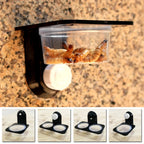 Wall-Mount Reptile Feeding Box — Single/Double Food & Water Dish for Insects & Reptiles