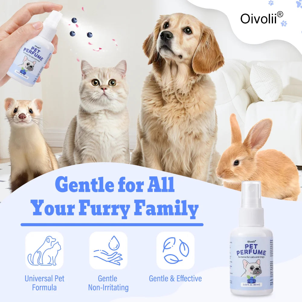 Blueberry Pet Deodorizing Spray — Natural, Long-Lasting Freshness for Dogs & Cats