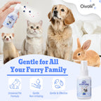 Blueberry Pet Deodorizing Spray — Natural, Long-Lasting Freshness for Dogs & Cats
