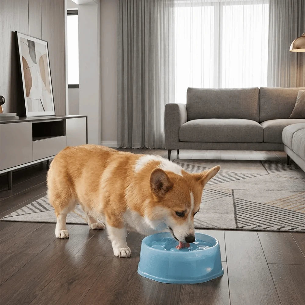 Spill-Proof Floating Pet Water Bowl (Large Capacity, Anti-Splash)