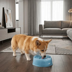 Spill-Proof Floating Pet Water Bowl (Large Capacity, Anti-Splash)