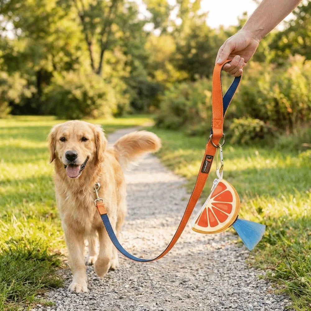 Watermelon Dog Poop Bag Dispenser (Colorful, Hanging Ring)