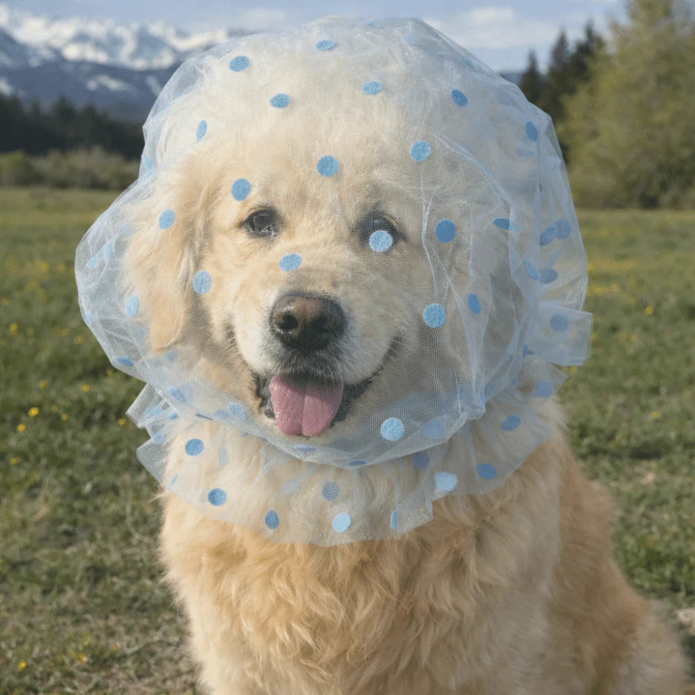 Pet Anti-Mosquito Headgear (Breathable Mesh, Adjustable, Love/Wave Pattern)