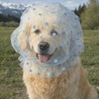 Pet Anti-Mosquito Headgear (Breathable Mesh, Adjustable, Love/Wave Pattern)