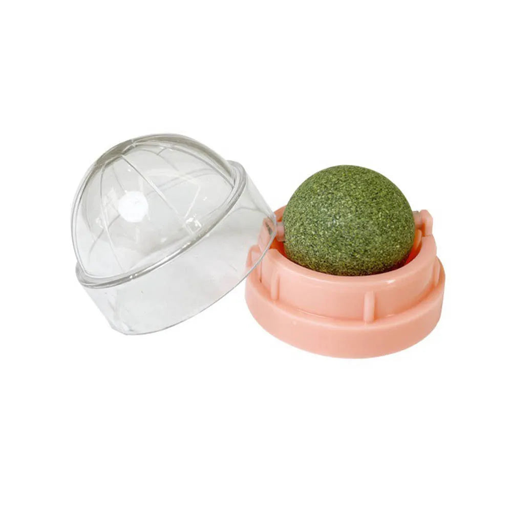 Catnip & Cat Grass Wall-Mount Lick Ball Toy — Stick-On Scratcher & Digestive Treat