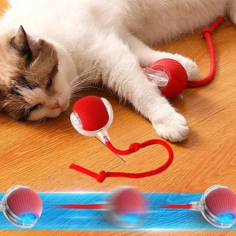Smart Electric Rolling Ball Cat Toy with Fake Mouse Tail — USB Rechargeable Auto-Chase Trainer