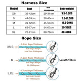 Adjustable Dog Harness & 150cm Leash Set — Reflective Design