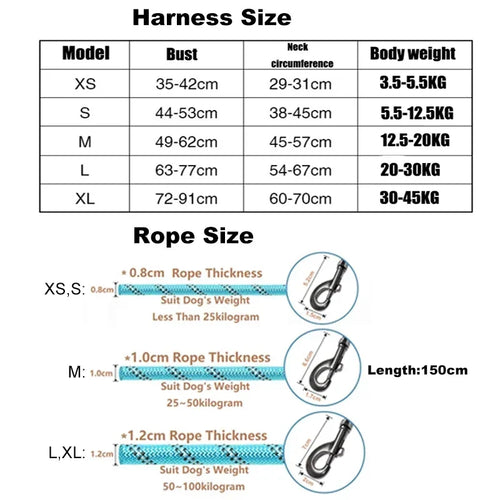 Adjustable Dog Harness & 150cm Leash Set — Reflective Design