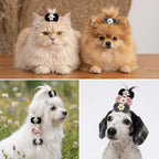 Yarn Bow Pet Hair Ties 12-Pack (Cute Style, Elastic, Various Colors)