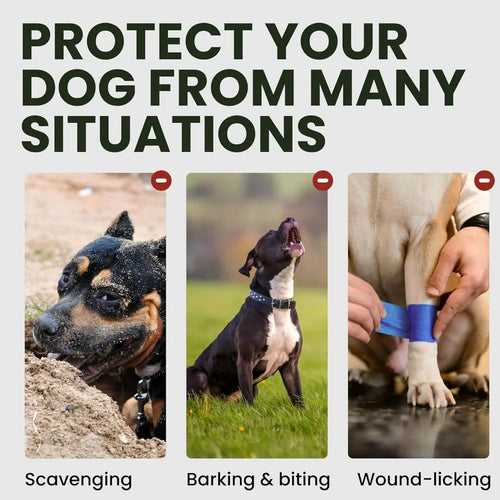 Metal Basket Dog Muzzle (Anti-Bite, Breathable, Easy Clean)