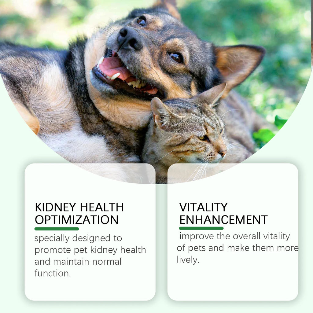 Pet Kidney Health Supplement — Gentle Vitality Support for Dogs & Cats