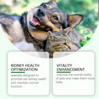 Pet Kidney Health Supplement — Gentle Vitality Support for Dogs & Cats