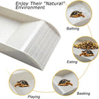 Turtle Bathing Pool & Feeding Dish — Easy-Clean Water Bowl for Box Turtles & Frogs