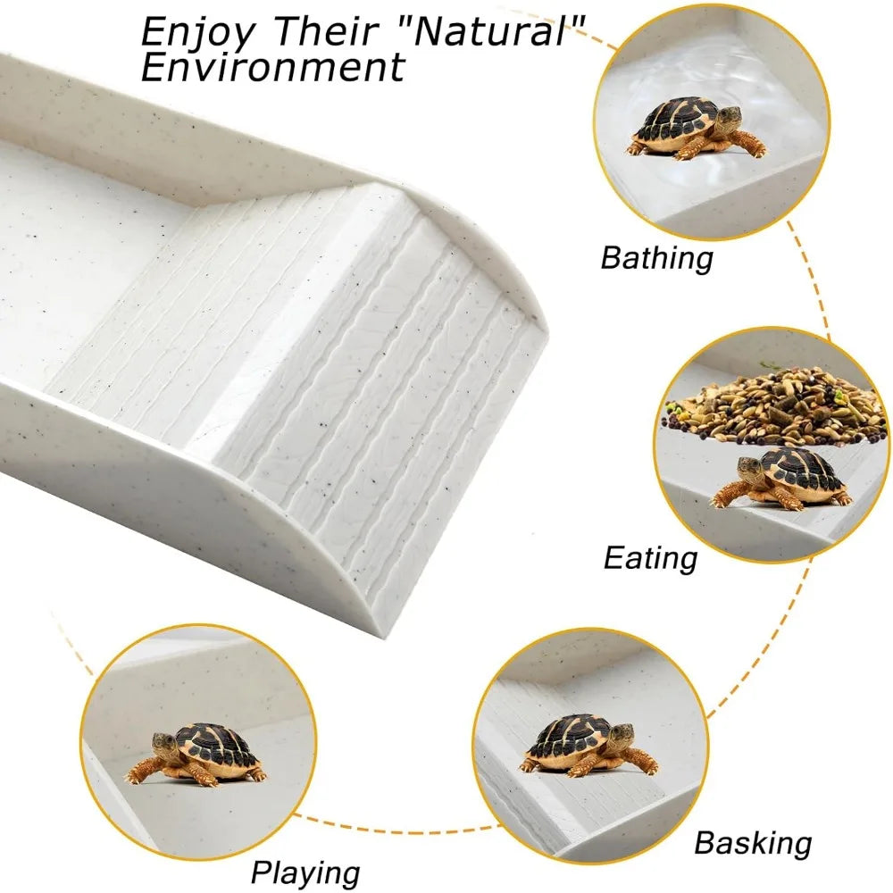 Turtle Bathing Pool & Feeding Dish — Easy-Clean Water Bowl for Box Turtles & Frogs