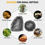 Reptile Rock Feeding Bowl — Realistic Stone Design for Bearded Dragons