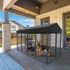 Outdoor Dog Kennel Run with Canopy Cover & Ground Stakes