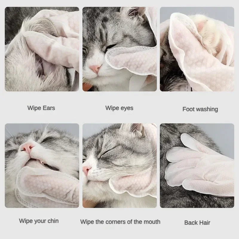 No-Rinse Pet Grooming Gloves — Five-Finger Design for Face, Ears & Paws, 6-Pack