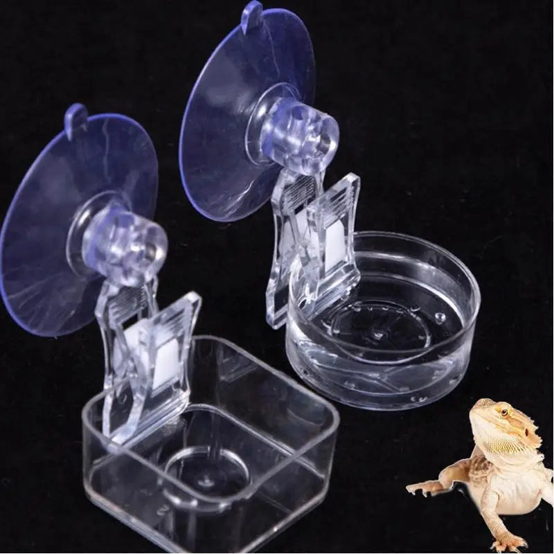 Suction Cup Reptile Feeding Bowl — Mountable Food & Water Dish for Lizards & Frogs