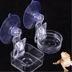 Suction Cup Reptile Feeding Bowl — Mountable Food & Water Dish for Lizards & Frogs