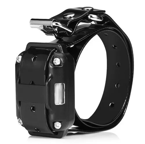 Rechargeable Electronic Dog Training Collar