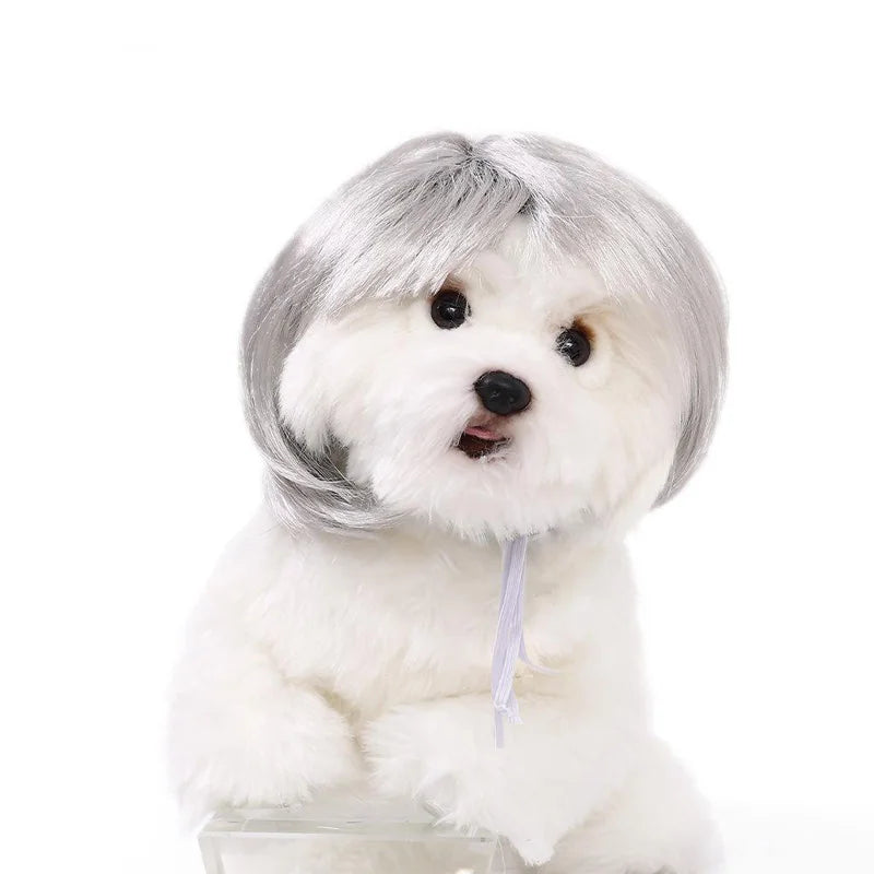 Spoof Wig for Dogs & Cats (Pet Christmas Costume Accessory)