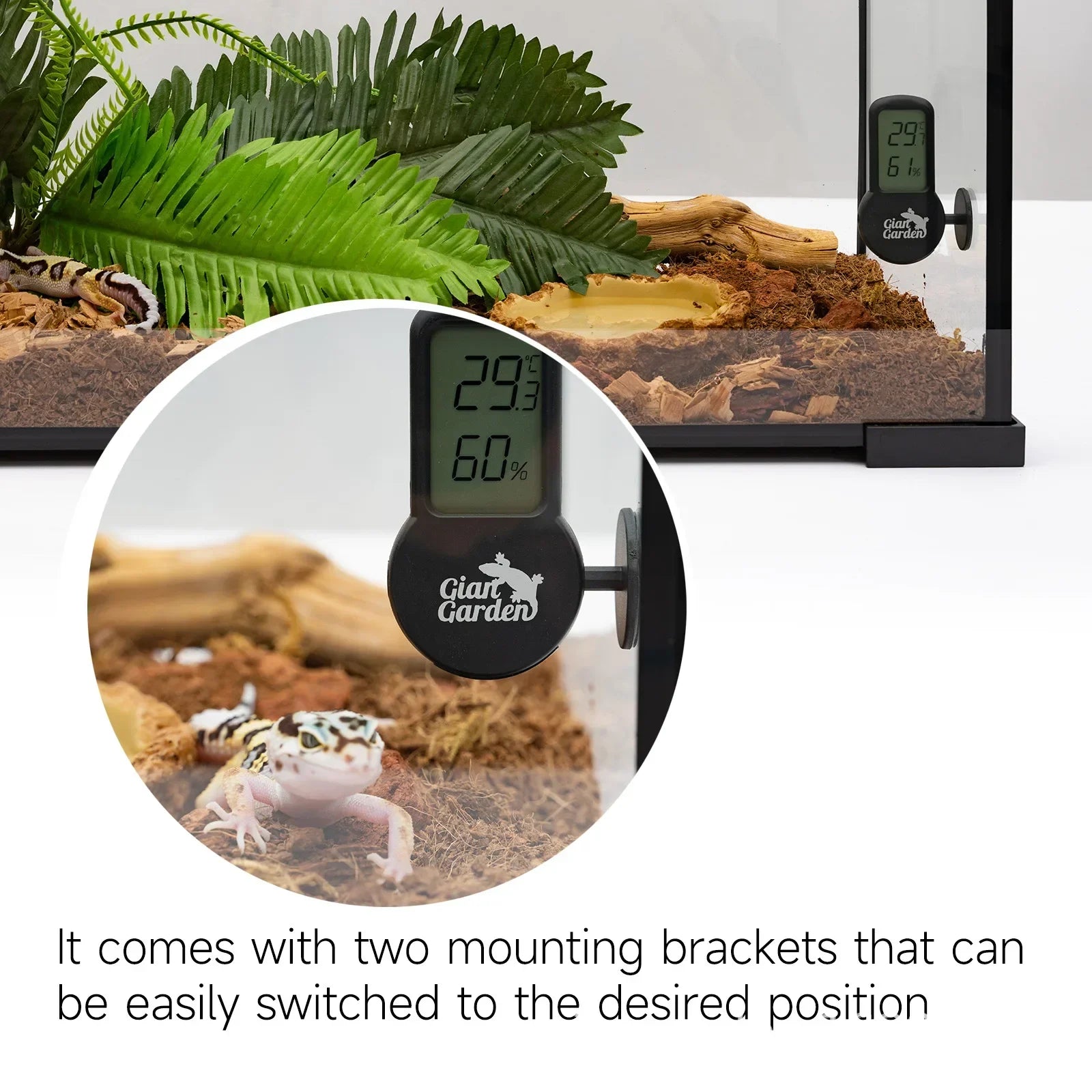 Digital Reptile Hygrometer & Thermometer — Terrarium Habitat Monitor