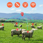 4G GPS Livestock Tracker for Sheep, Cattle & Horses with 20,000mAh Battery