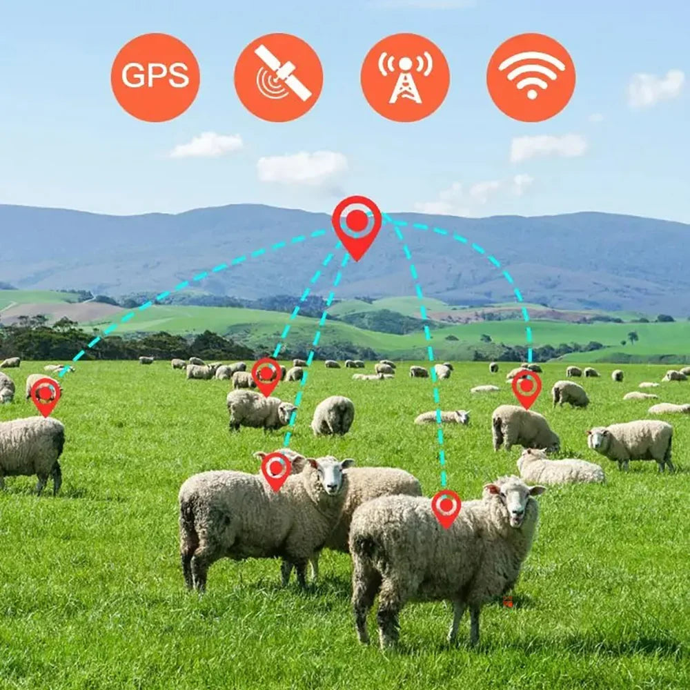 4G GPS Livestock Tracker for Sheep, Cattle & Horses with 20,000mAh Battery