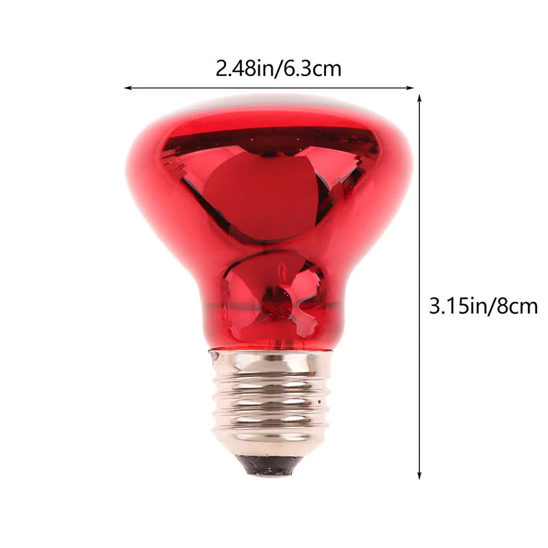 E27 Infrared Basking Bulb — Day & Night Heat Light, 25W–100W