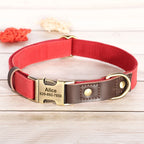 Personalized Dog Collar & Leash Set