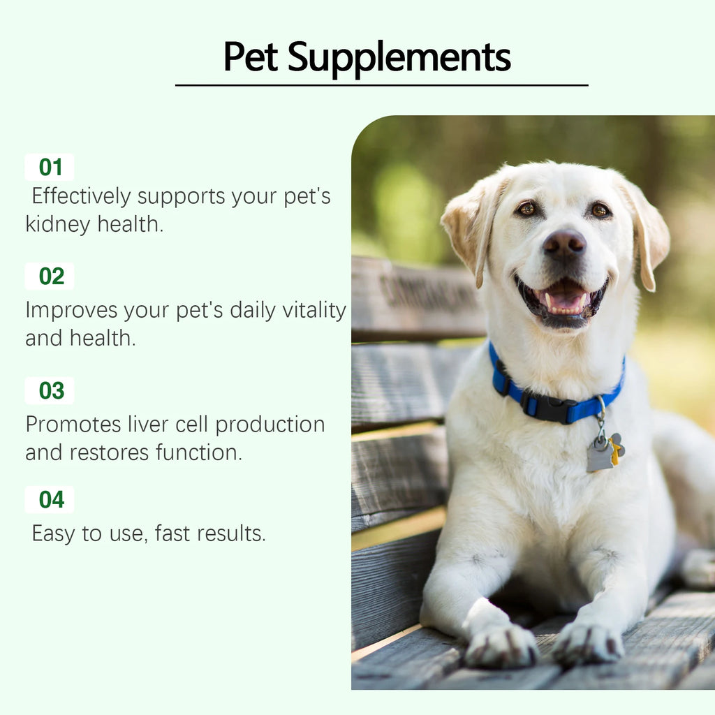 Pet Kidney Health Supplement — Gentle Vitality Support for Dogs & Cats