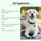 Pet Kidney Health Supplement — Gentle Vitality Support for Dogs & Cats
