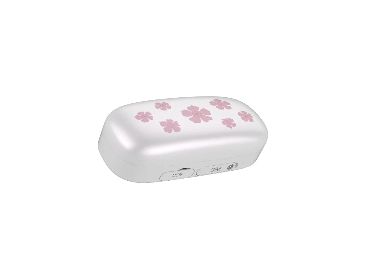 RF-V53 4G GPS Pet Locator for Dogs & Cats with Beidou Positioning - IP67, 900mAh Battery
