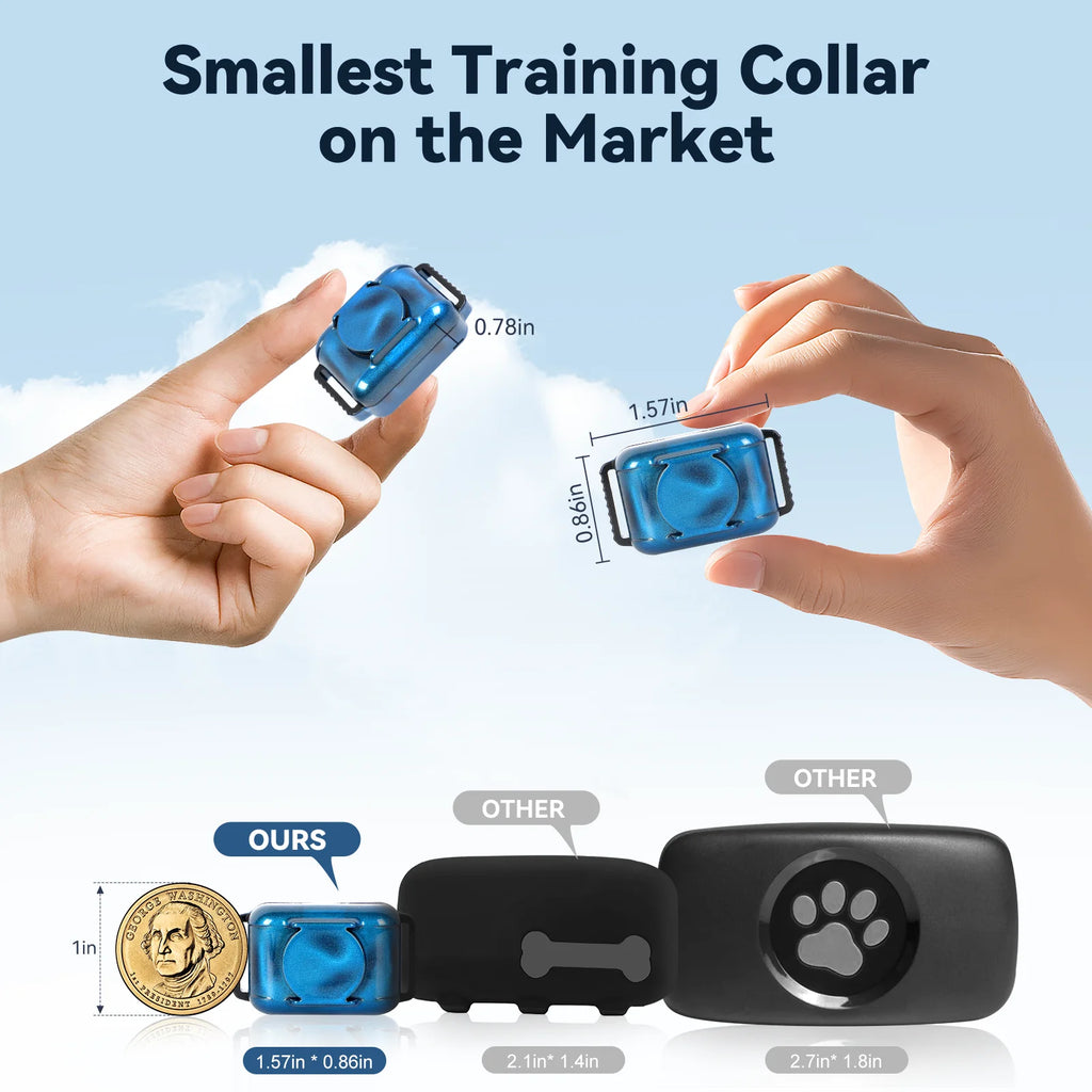 Lightweight Cat Training Collar with Remote — Waterproof, 5–15+ lbs
