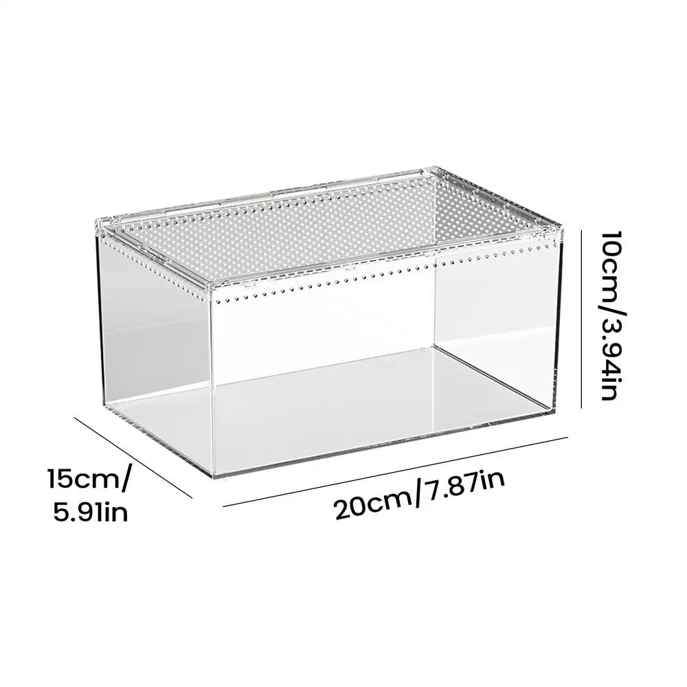 Transparent Acrylic Terrarium — Ventilated Enclosure for Spiders, Geckos & More