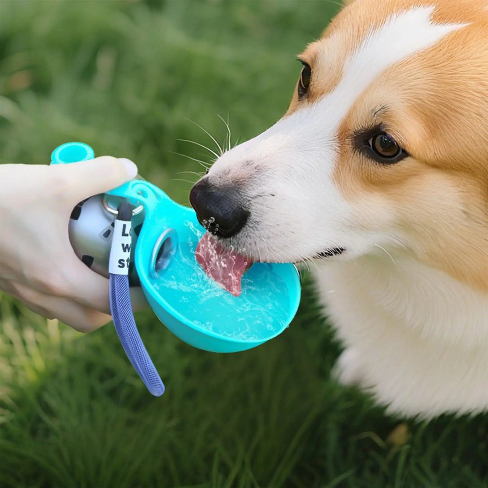 Travel Dog Water Bottle with Bowl