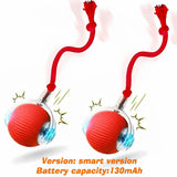 Automatic Rolling Dog Ball Toy (Rechargeable Interactive)