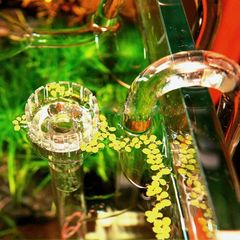 Glass Lily Pipe Inflow with Surface Skimmer (13/17mm, Planted Tank)