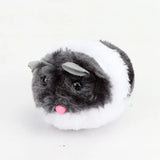 2-Pack Vibrating Spring Mouse Toy — Battery-Free Automatic Cat Toy