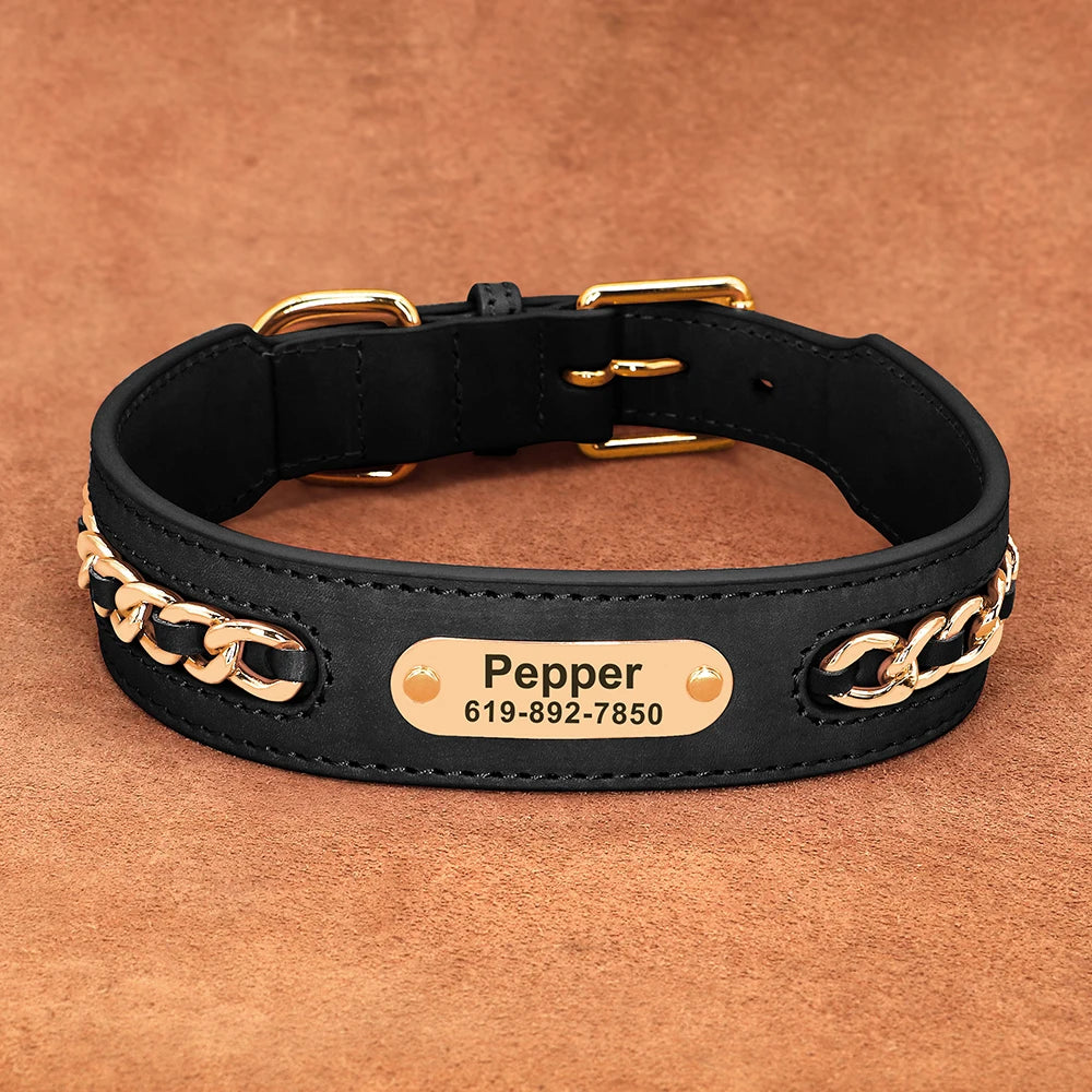Custom Engraved Leather Dog Collar